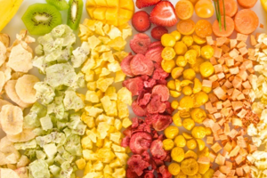 Exploring the Boundless Possibilities of Freeze Drying: What Can You Freeze Dry?